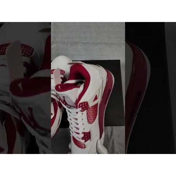 Air Jordan 4 Alternate 89
