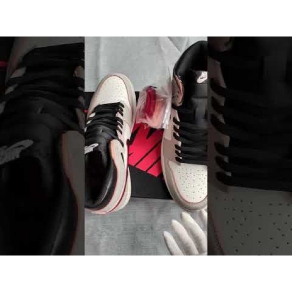 SB x Air Jordan 1 High OG Light Bone