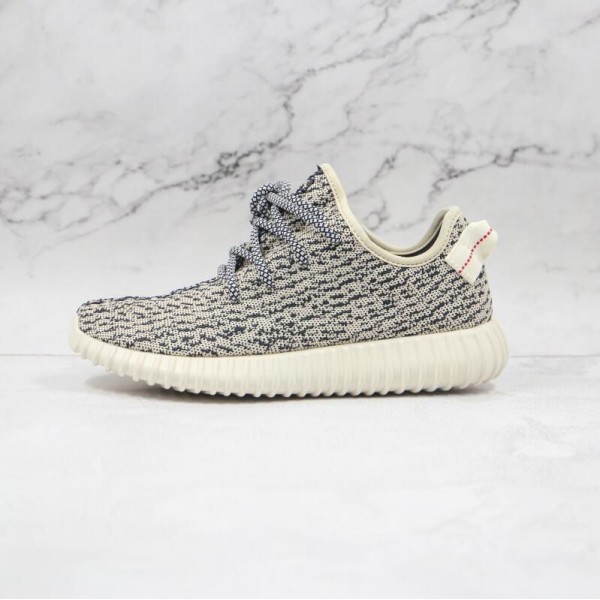 Yeezy Boost 350 Turtle Grey